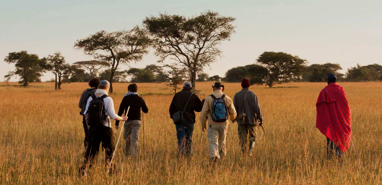Tanzania Safari FAQs