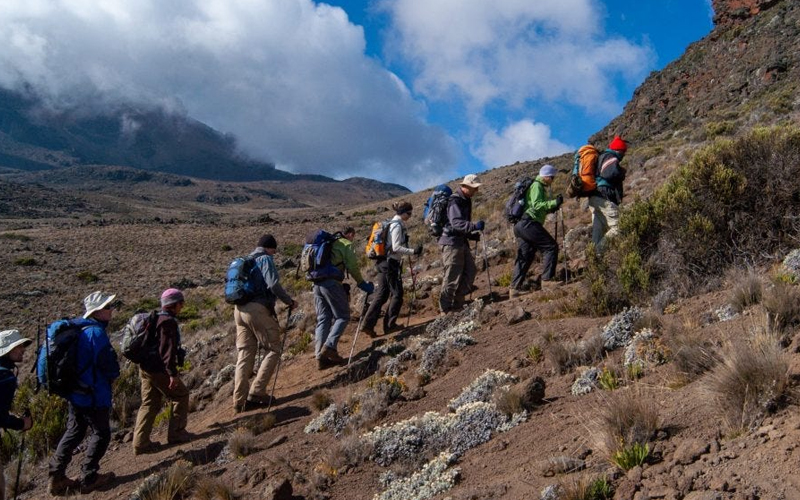 Conquer Uhuru Peak Kilimanjaro Summit