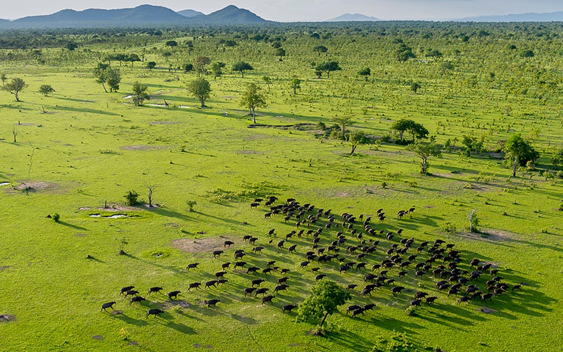 Navigating Tanzania Safari Climate