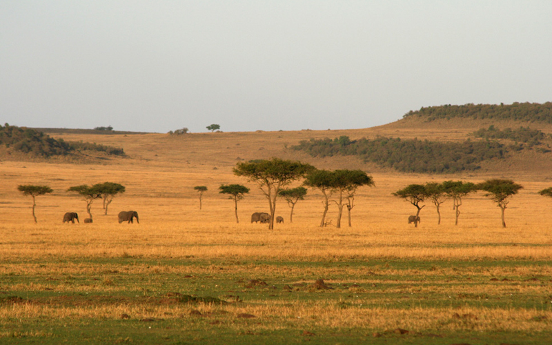 Understanding Tanzania Safari Weather