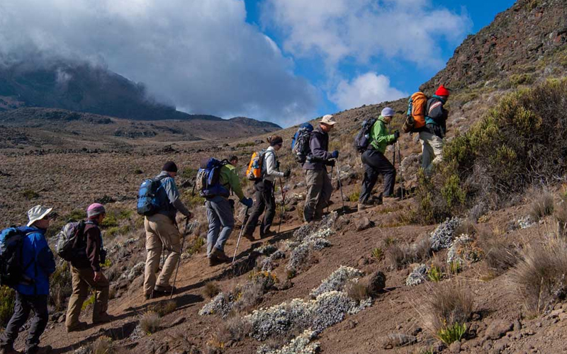 Managing Altitude Sickness on Mount Kilimanjaro